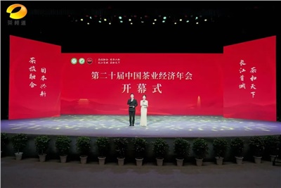 【聚焦第二十屆中國茶業(yè)經濟年會】益陽茶廠榮獲“民族團結互助企業(yè)”、“2024年度茶業(yè)重點企業(yè)”榮譽稱號