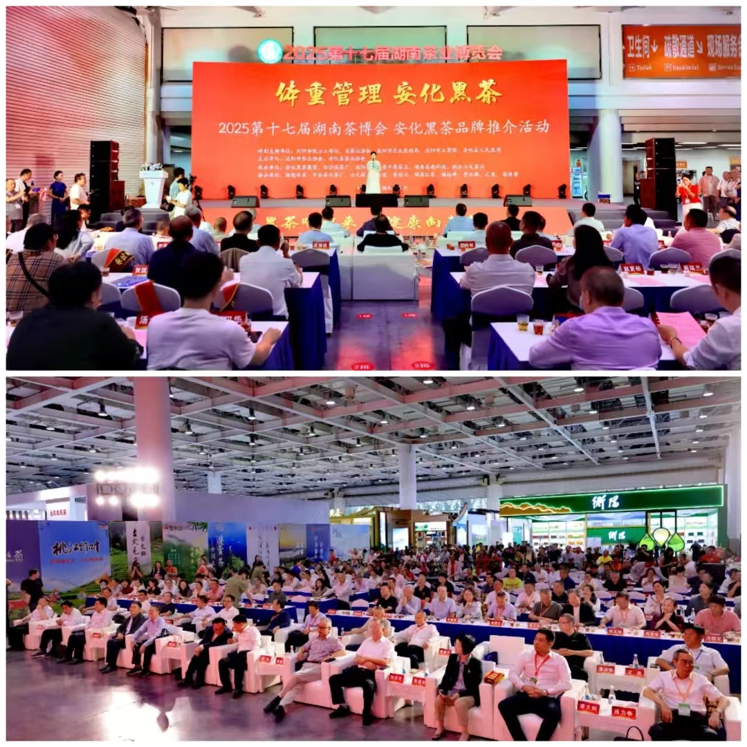 破局邊銷二十載，開啟茯茶新紀(jì)元——湘益茯茶“紀(jì)廿”新品璀璨發(fā)布